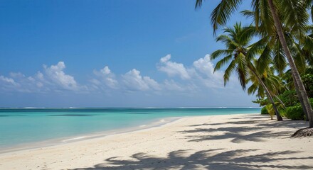 Idyllic Tropical Beach Scene with Palm Trees and Turquoise Water