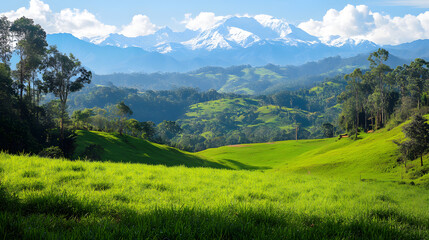 Obraz premium Beautiful green meadow, with a forest and mountains in the background 
