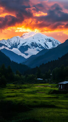 Beautiful green meadow, with a forest and mountains in the background
