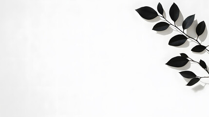 Minimalist leaf arrangement against a plain white backdrop. The graphic quality of the black leaves creates a simple yet striking botanical display.