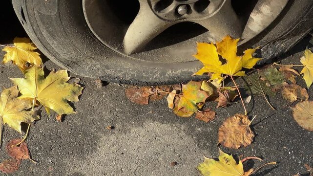 Wheel with flat tire of abandoned car at autumn day