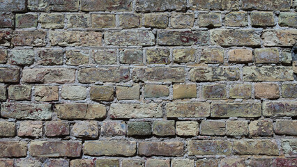 The photo shows an old brick wall close-up