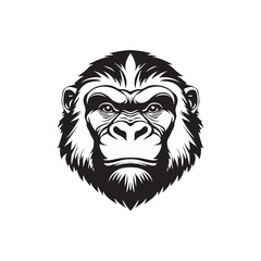 Obraz premium Dominant Monkey