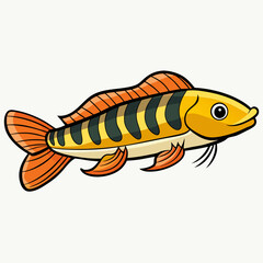 goldfish on white background