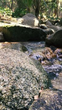 A small rocky stream in the jungle