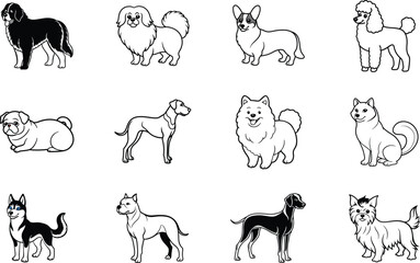 Adorable Cartoon Dog Breeds Poodles, Huskies, and More