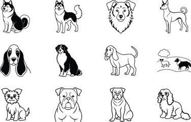 Cute Dog Breeds Illustrations Husky, Basset, Bulldog, and More