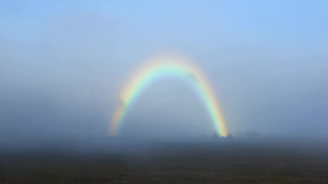 Mysterious fogbow appears on a misty morning, glowing subtly in natural light