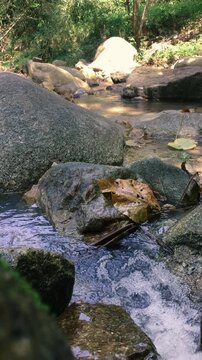 A small stream in a rocky valley among the jungle