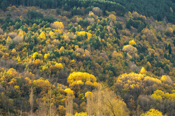 Landscapes and views of the Boi Valley, Lleida Pyrenees. Spain.