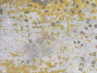 close-up shot of a textured surface covered in yellow lichen, showcasing the intricate patterns and...
