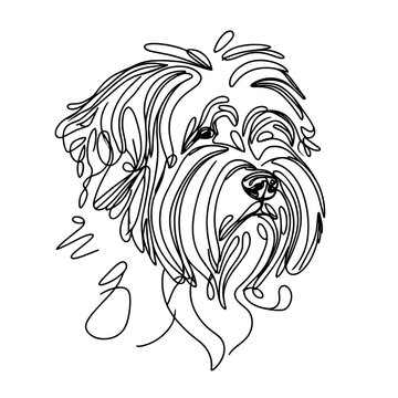 Tibetan Terrie breed Dog Continuous one line drawing, inimalist vector illustration design on white background. Simple line modern graphic style. Hand drawn graphic concept