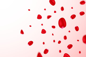 Realistic Rose petals vector with gradient background. Rose petals flying design. Rose petals splash design vector. Happy Valentine's Day flower petals template. 