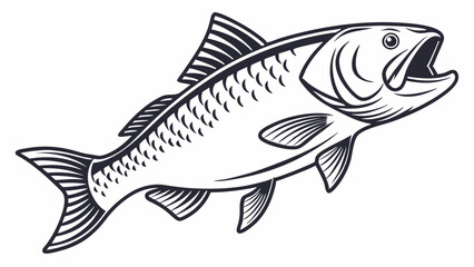 fish vector illustration