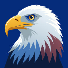 american bald eagle