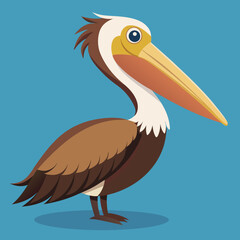 pelican on a white background