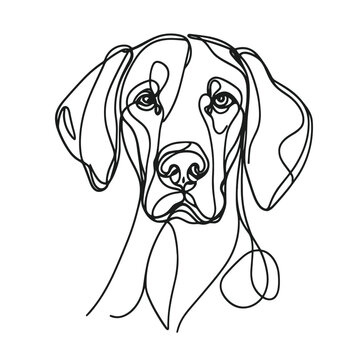 Weimaraner breed Dog Continuous one line drawing, inimalist vector illustration design on white background. Simple line modern graphic style. Hand drawn graphic concept
