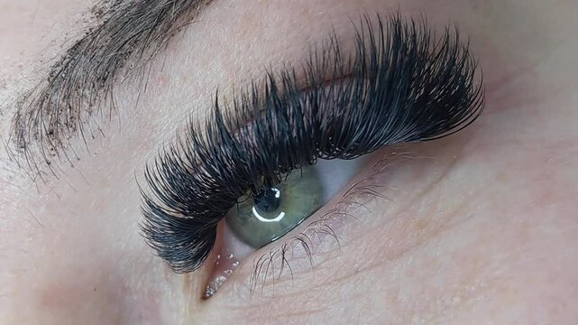 Close up of eye with eyelash extensions ,beauty salon treatment ,2d volume, 3d volume, classical lashes,Russian volume,megavolume, new set.