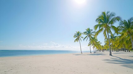 Obraz premium Tropical White Sand Beach With Palm Trees And Blue Sky