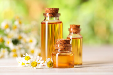 Bottles of essential oil and chamomile flowers on white wooden table against blurred background, closeup