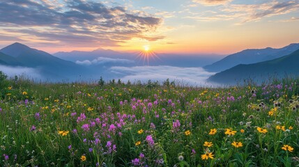 Obraz premium Stunning Mountain Sunrise Over a Wildflower Meadow