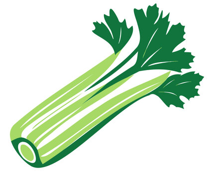 Seler naciowy ilustracja