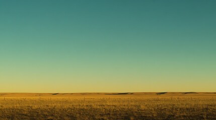 Fototapeta premium Golden Prairie Under a Teal Sky
