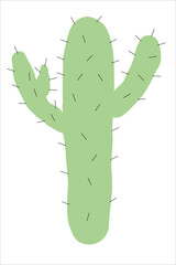 Exotic green cactus with needles on white isolated background. Plant of deserts, plains, Texas, Mexico, Arizona. Prickly cute creation of nature.