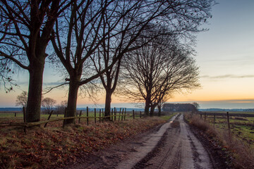 Łąki i drzewa w porannym słońcu, Podlasie, Polska © podlaski49
