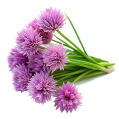 Obraz premium Fresh chives flower isolated on transparent background 