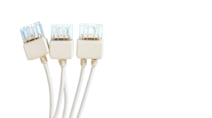 Network cables connection digital workspace transparent background close-up technology concept