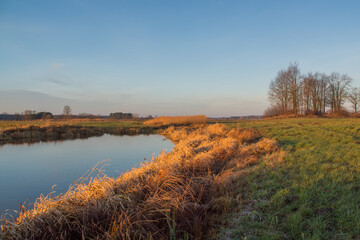 Łąki i drzewa w porannym słońcu, Podlasie, Polska