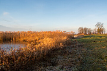 Łąki i drzewa w porannym słońcu, Podlasie, Polska © podlaski49