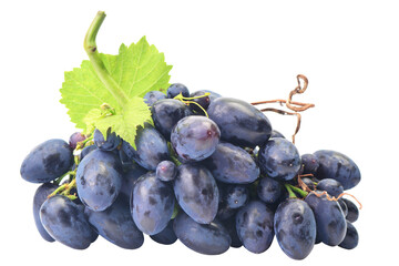 Bunch of grapes isolated