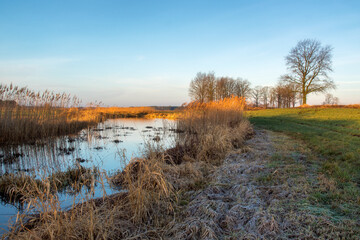 Łąki i drzewa w porannym słońcu, Podlasie, Polska © podlaski49