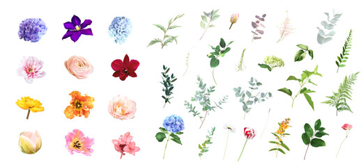 Bright tulip flowers, roses, pink peony, hydrangea, greenery and branches Easter floral vector big set. Bold colored watercolor. Blooming garden. Spring florals. Elements are isolated and editable