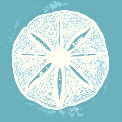 White outline of a sand dollar clipart

