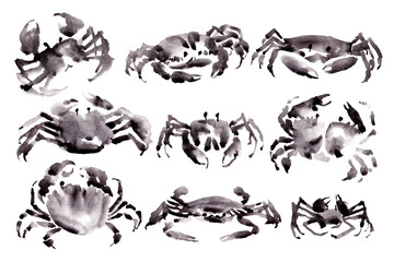 watercolor painting ink chinese crab collection 
