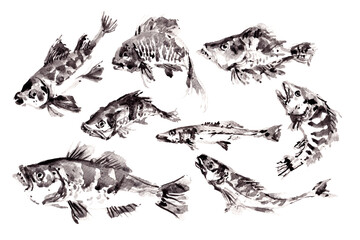 watercolor painting ink chinese fish collection 
