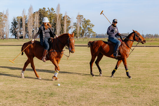 Young woman and men riding horses and playing polo on the field