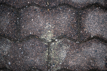 Pavement and Sidewalk Texture