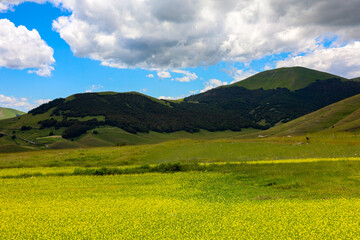I colori spettacolari della fioritura dell'altipiano di Castelluccio di Norcia nel Parco Nazionale dei Monti Sibillini, Umbria, Italia