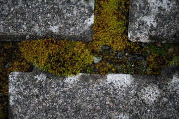 Pavement and Sidewalk Texture