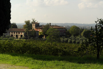 Rural background near San Martino della Battaglia, Brescia, Italy