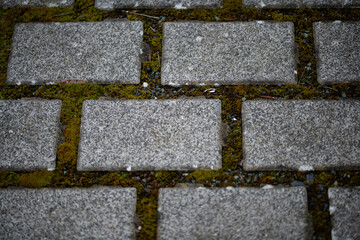 Pavement and Sidewalk Texture