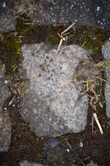 Pavement and Sidewalk Texture