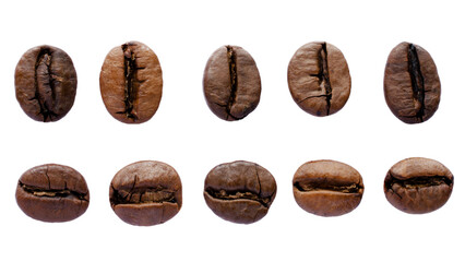 Collection of various coffee beans isolated on white background, top view. Top view of coffee beans isolated on white background. Coffee beans isolated on white background.