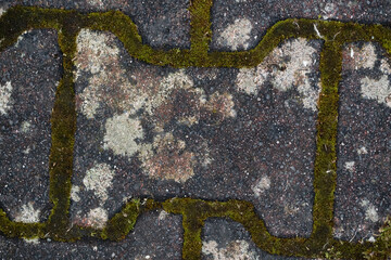 Pavement and Sidewalk Texture