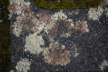 Pavement and Sidewalk Texture