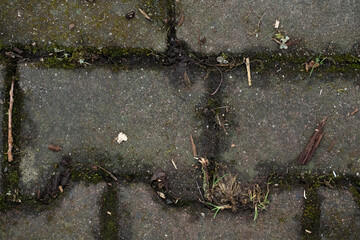 Pavement and Sidewalk Texture